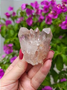 Drusa Quartzo Violeta