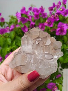 Drusa Quartzo Violeta