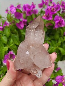 Drusa Quartzo Violeta