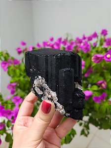 Turmalina Negra com Terminação Natural com Quartzo