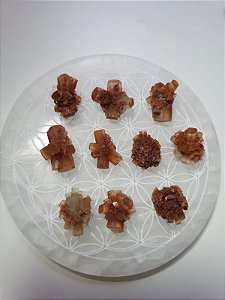 Lote Aragonita Sputnik 10 peças