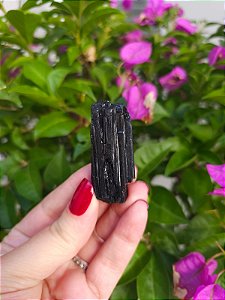 Turmalina Negra