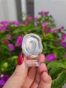 Galáxia de Calcedônia