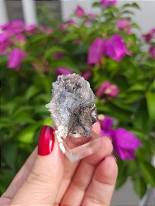 Galáxia de Calcedônia