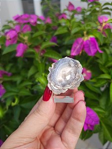 Galáxia de Calcedônia