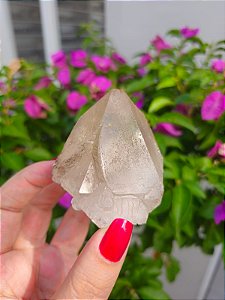 Ponta Fumê Autocurada