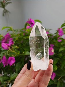 Mestre Semente Estelar Gravado