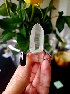 Mestre Phantom Lemuriano