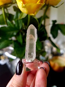 Mestre Phantom Lemuriano