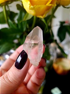 Mestre Phantom Lemuriano Biterminado Ísis