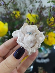 Galáxia de Calcedônia