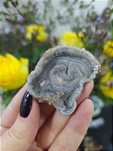 Galáxia de Calcedônia