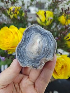 Galáxia de Calcedônia