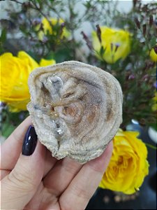 Galáxia de Calcedônia