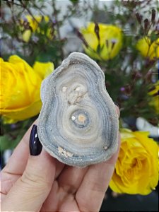 Galáxia de Calcedônia