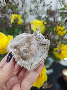 Galáxia de Calcedônia