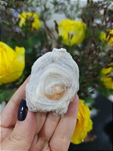 Galáxia de Calcedônia