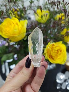 Mestre Imprint e Gravado