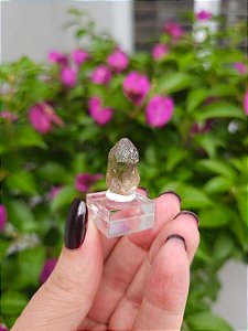 Citrino Elestial  em Formação Natural