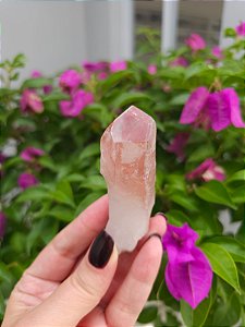 Formação Pink
