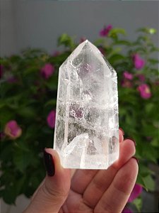 Mestre Ponte para Dentro