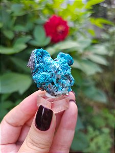 Crisocola no Quartzo