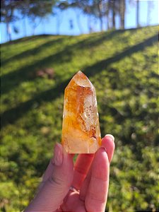 Quartzo Golden Healer Extra