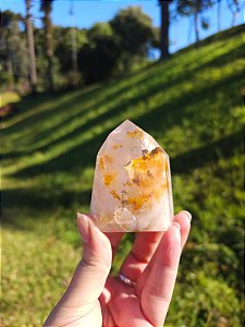 Quartzo Rosa com Golden Healer Extra