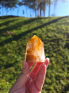 Quartzo Golden Healer Extra