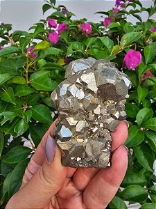 Drusa Pirita Peruana