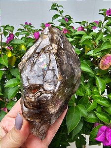 Elestial com Arco-Íris