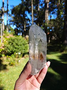 Mestre Semente Estelar com Clorita