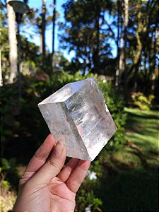 Calcita Rombóide com Dendritas