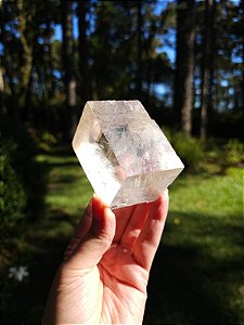 Calcita Rombóide com Dendritas