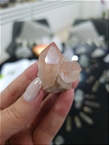 Drusa Pink Ísis e Elo do Tempo Futuro