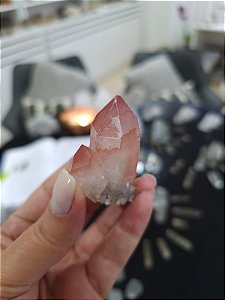 Drusa Pink Ísis