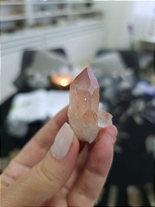 Drusa Pink Ísis e Elo do Tempo Futuro e Passado