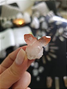 Drusa Pink Ísis