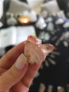 Drusa Pink Elo do tempo Passado e Futuro