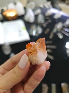 Drusa Tangerina