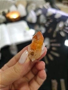 Drusa Tangerina