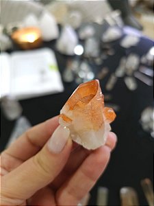 Drusa Tangerina