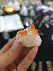 Drusa Tangerina
