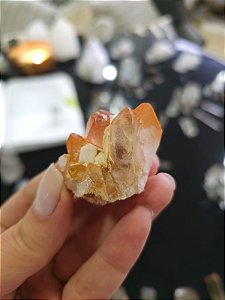 Drusa Tangerina