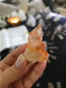 Drusa Tangerina