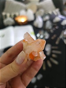 Drusa Tangerina