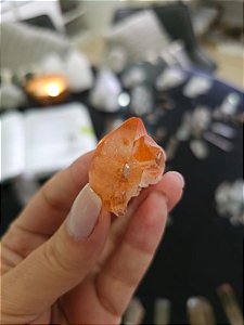 Drusa Tangerina
