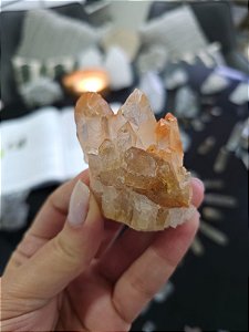 Drusa Tangerina