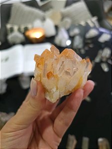 Drusa Tangerina