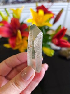 Quartzo Jardim Semente Estelar